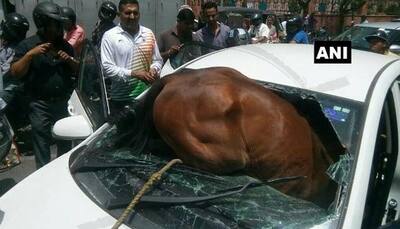 When a horse collided with a car in Jaipur - Watch