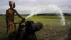 Farm loan waivers to be 2% of GDP by 2019 polls: BofAML