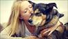 Therapy pets helping anxious, fearful travelers relax
