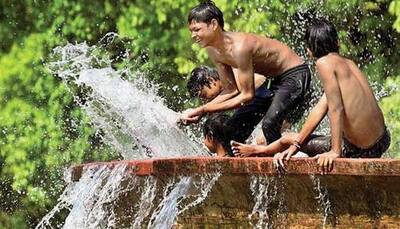 Delhiites likely to get respite from heatwave; IMD predicts possibility of rain, thunderstorm or duststorm