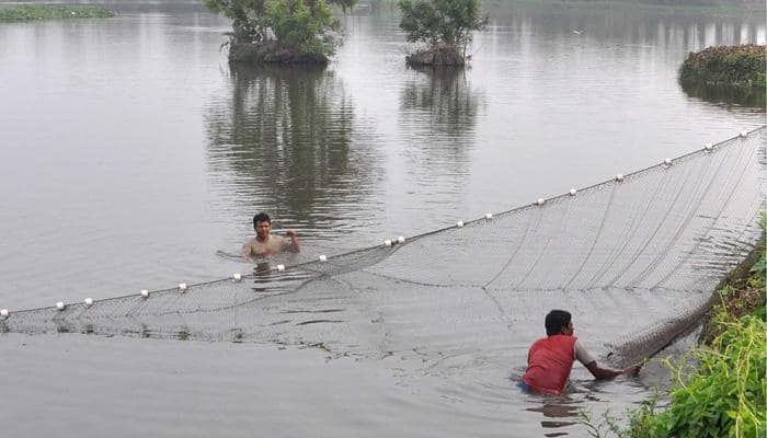 East Kolkata Wetlands under threat, warns expert