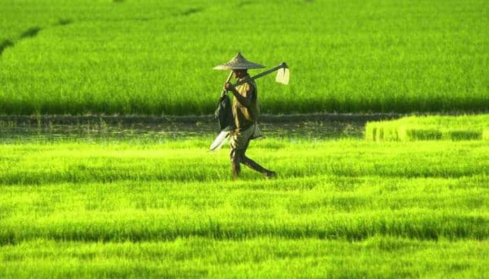 Farm loan waivers increase risk of fiscal slippages, higher inflation: RBI 