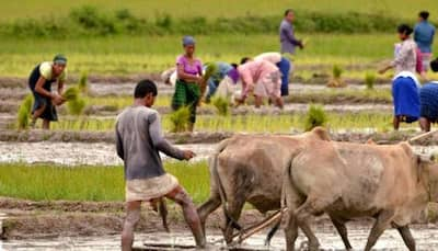 Govt okays kharif MSP; decision secret amid farmers protest