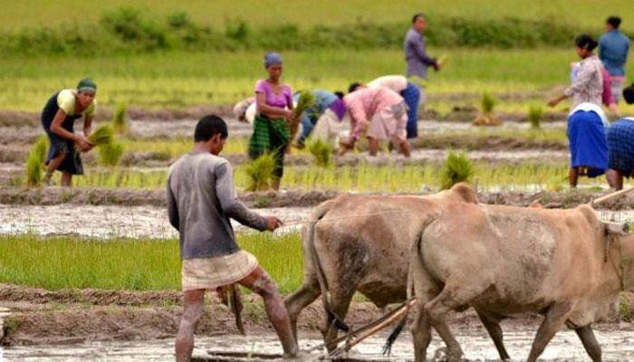Govt okays kharif MSP; decision secret amid farmers protest