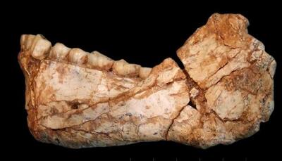 Discovered - Oldest known human species' fossils found in Morocco