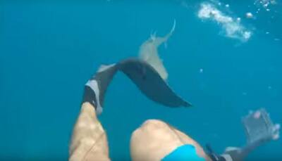 Man attacked by 8-foot-long reef shark while fishing in Florida