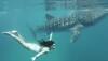 World Ocean Day: Katrina Kaif's having a 'whale' of a time!
