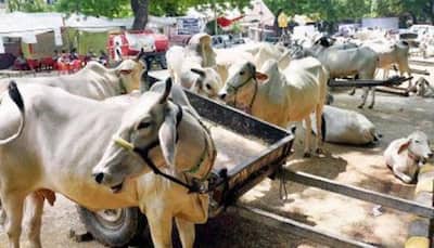 Kerala Assembly adopts resolution asking Centre to withdraw cattle slaughter ban