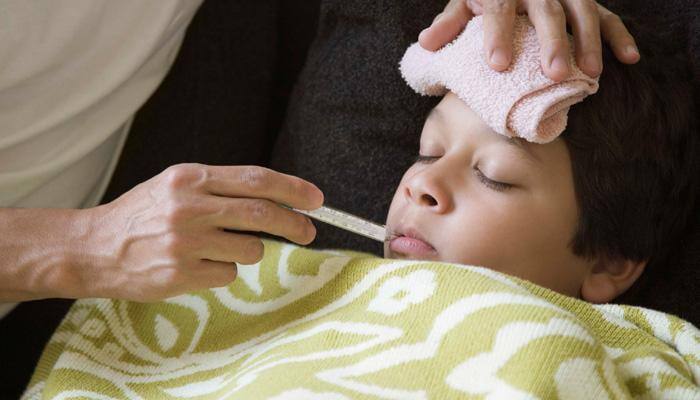 Dengue claims 11 lives, affects 11,402 in this year's first five months