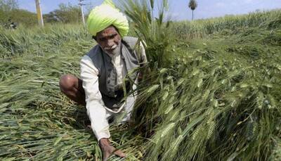 Farmers in Rajasthan to get higher insurance cover with crop loan