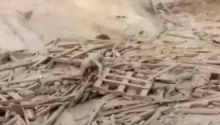 Unbelievable escape! Woman survives near-fatal fast-moving mudslide in Peru - Watch viral video