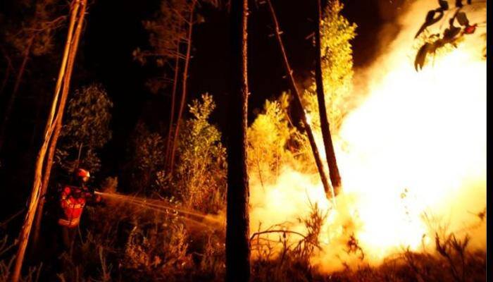 At least 62 killed in forest fire still raging in Portugal