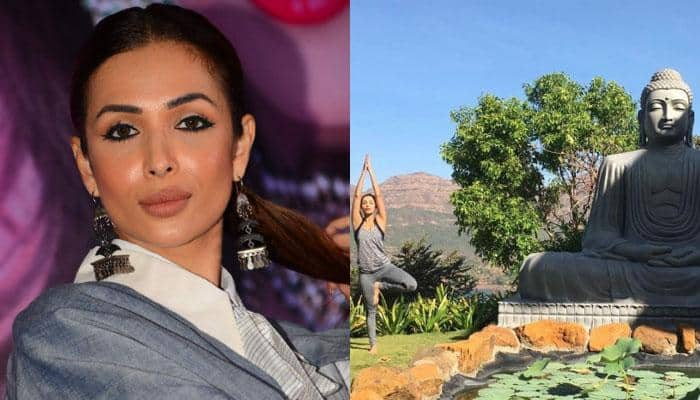 International Yoga Day 2017: Malaika Arora reveals favourite yoga asanas