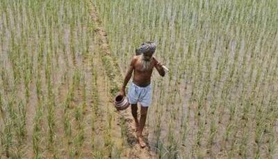 Govt rules out farm loan waivers; will stick to fiscal targets