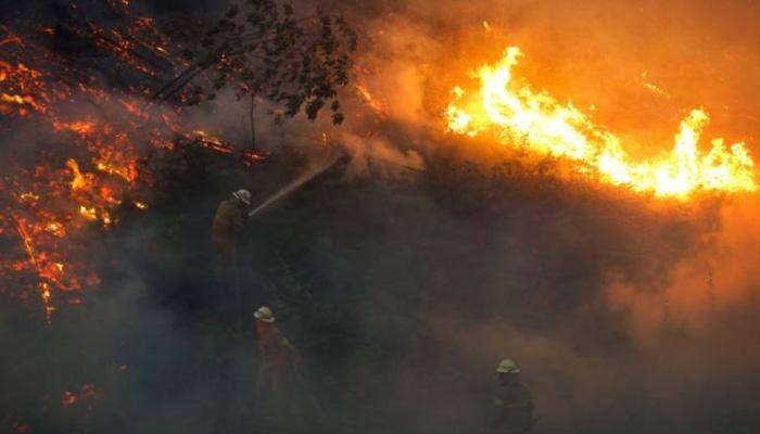 Portugal forest fire: Death toll rises to 64, PM Antonio Costa asks emergency services for answers