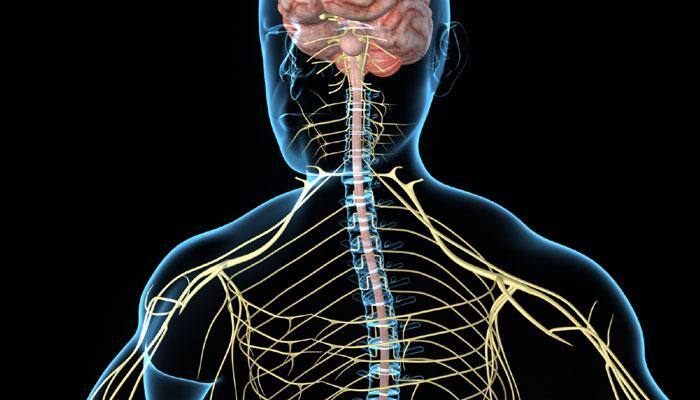 14-year-old girl with 'scoliosis' cured through new medical technology