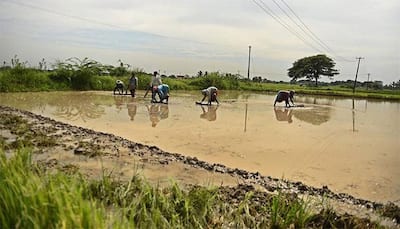 Insurance companies approve Rs 928 Cr compensation to farmers