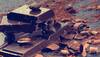 Eating chocolate may boost cognitive skills in elderly