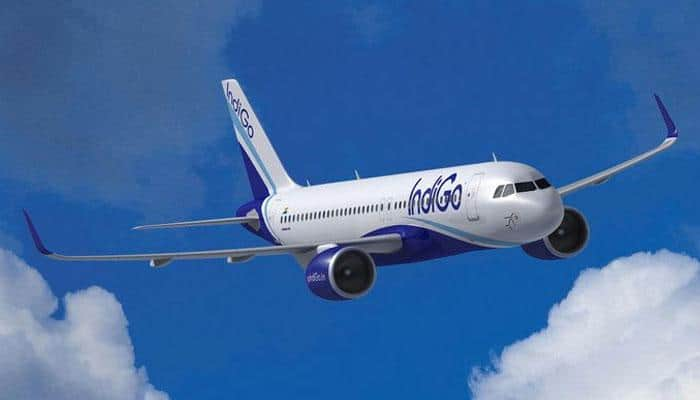 Will not pursue AI bid if not profitable: IndiGo President