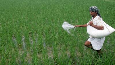 GST Council cuts tax rate on fertiliser to 5%