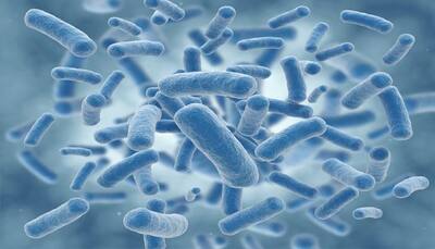 Magnetic microbots to remove harmful bacteria from water developed