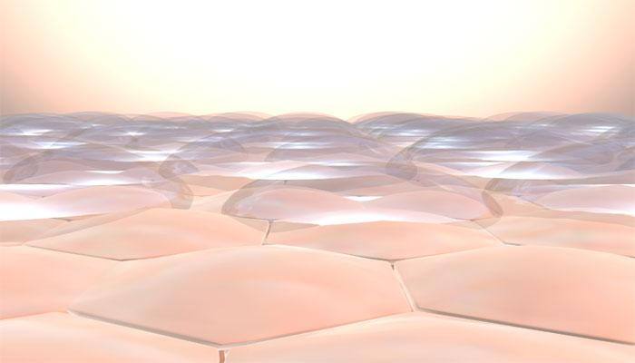 Perturbed skin microbiome can be contagious: Study