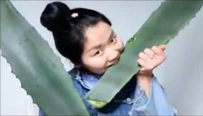 Chinese health vlogger livestreams herself eating what she 'thinks' is aloe vera, poisons herself instead!