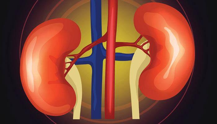 First robotic kidney transplant performed in Maharashtra