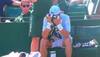 Wimbledon: Jo-Wilfried Tsonga, Sam Querrey bugged by flying ants