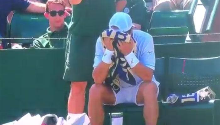 Wimbledon: Jo-Wilfried Tsonga, Sam Querrey bugged by flying ants