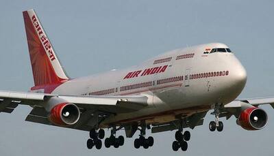 Parliamentary panel asks govt for details on Air India disinvestment decision