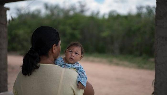 Zika virus breakthrough? This malaria drug protects fetuses from infection