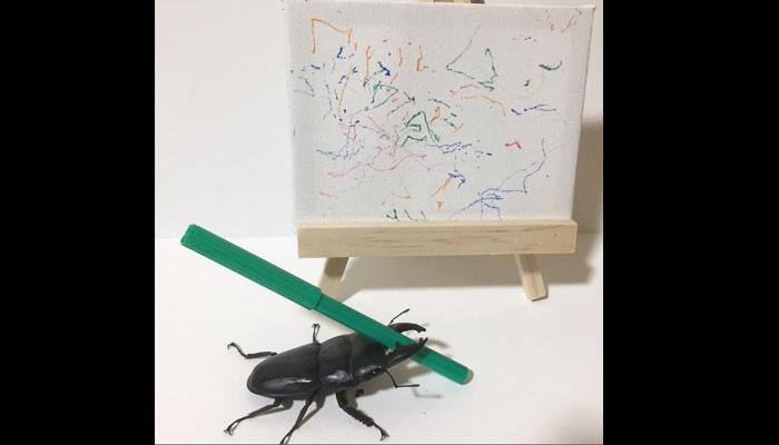Believe it or not! This beetle can hold a pen and draw—WATCH video
