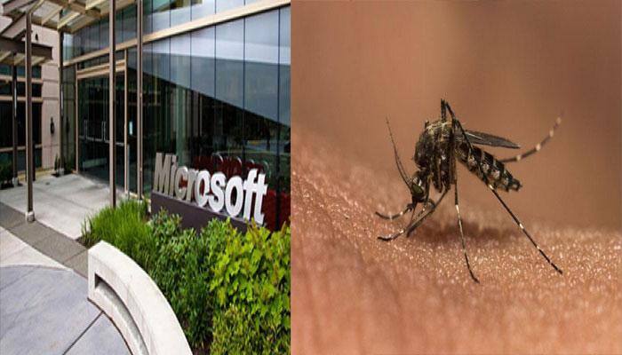 Microsoft joins hands with California-based Life Sciences to battle disease-carrying mosquitoes