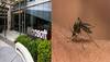 Microsoft joins hands with California-based Life Sciences to battle disease-carrying mosquitoes