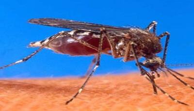 Dengue can be detected at early stage, new reusable biosensor promises the same