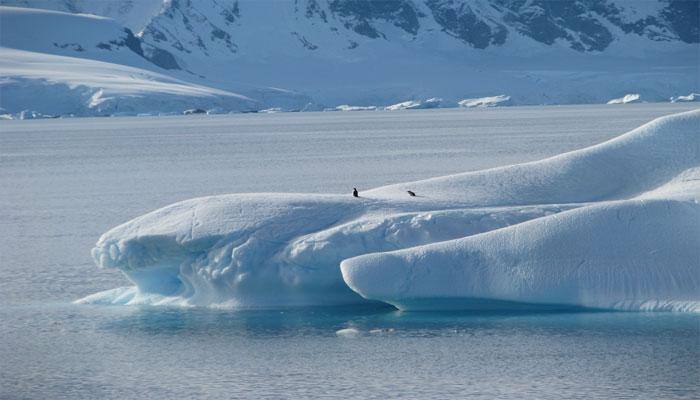 Trillion tonne iceberg breaks off Antarctica shelf