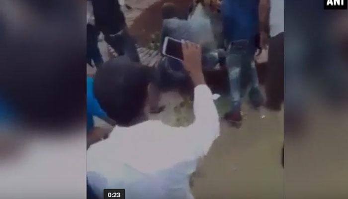 OMG! Groom falls inside well with horse during wedding - Watch Video