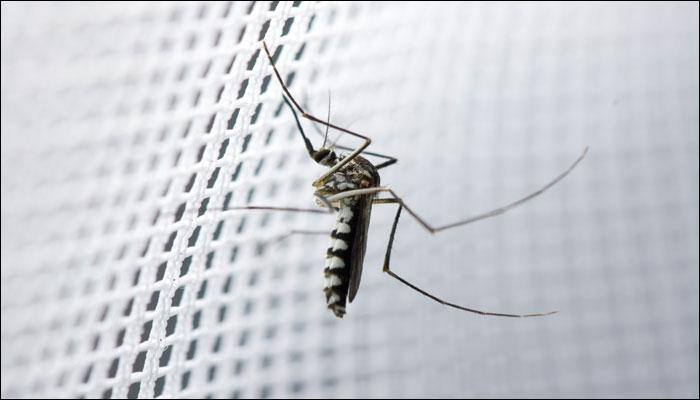 Eradication of mosquitoes not the right solution to get rid of vector-borne diseases, say scientists! - Know why