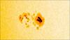 NASA's SDO captures incredible sunspot that appears tiny but is actually larger than Earth! - Watch video