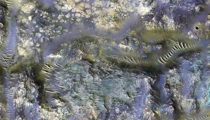 Are there worms on Martian surface? NASA image reveals bizarre subsurface patterns on red planet!