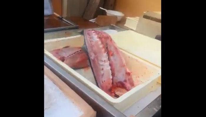 Unbelievable! Tuna fish skinned, cut and sliced but still 'alive' - WATCH