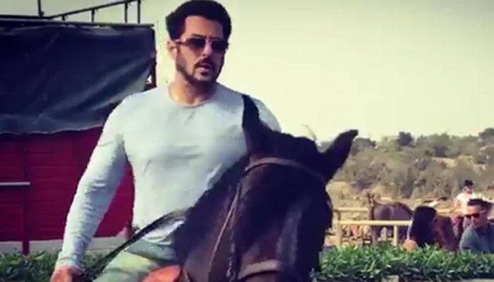 Tiger Zinda Hai: Salman Khan jumps in for horse riding training—Watch video!