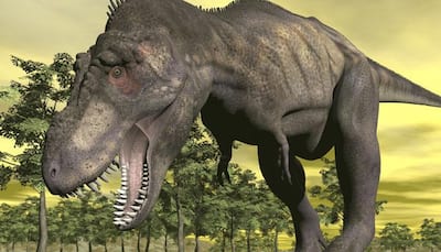 T rex dinosaur could not have run at high speed: Study