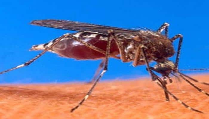 Australia to help Sri Lanka fight worst-ever dengue outbreak
