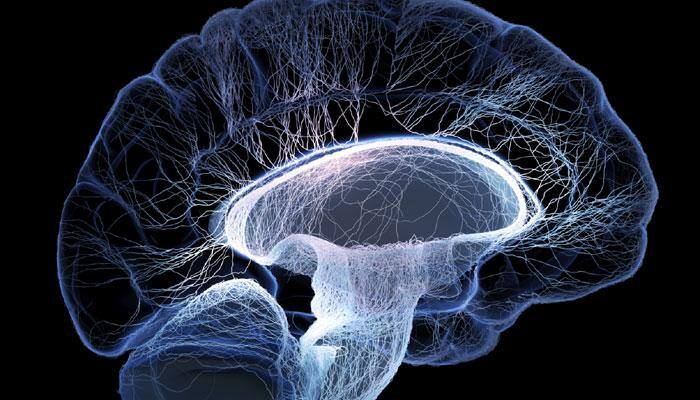 38-year-old brain dead man's organs save four lives