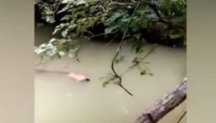 OMG! Croc &#039;returns&#039; body of man after witch doctor summons it: Watch Video