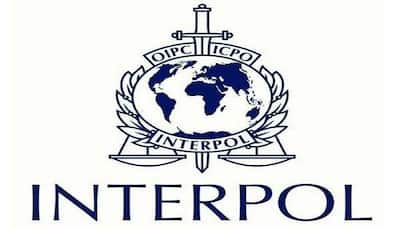 Interpol circulates list of 173 suspected ISIS members trained to mount revenge attacks in Europe