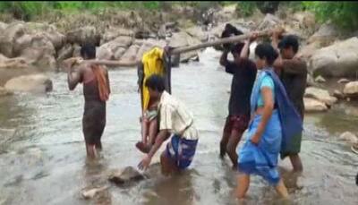 Hospital apathy! Family carries pregnant woman on bamboo shaft  for 16 km in Odisha- Read the heart wrenching story 