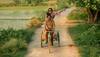Armaan Malik's 'Barfani' song from Nawazuddin Siddiqui starrer 'Babumoshai Bandookbaaz' out!